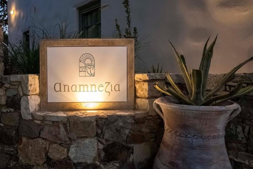Anamnezia Luxury Suites (Adults Only) Agios Dimitrios  Екстер'єр фото