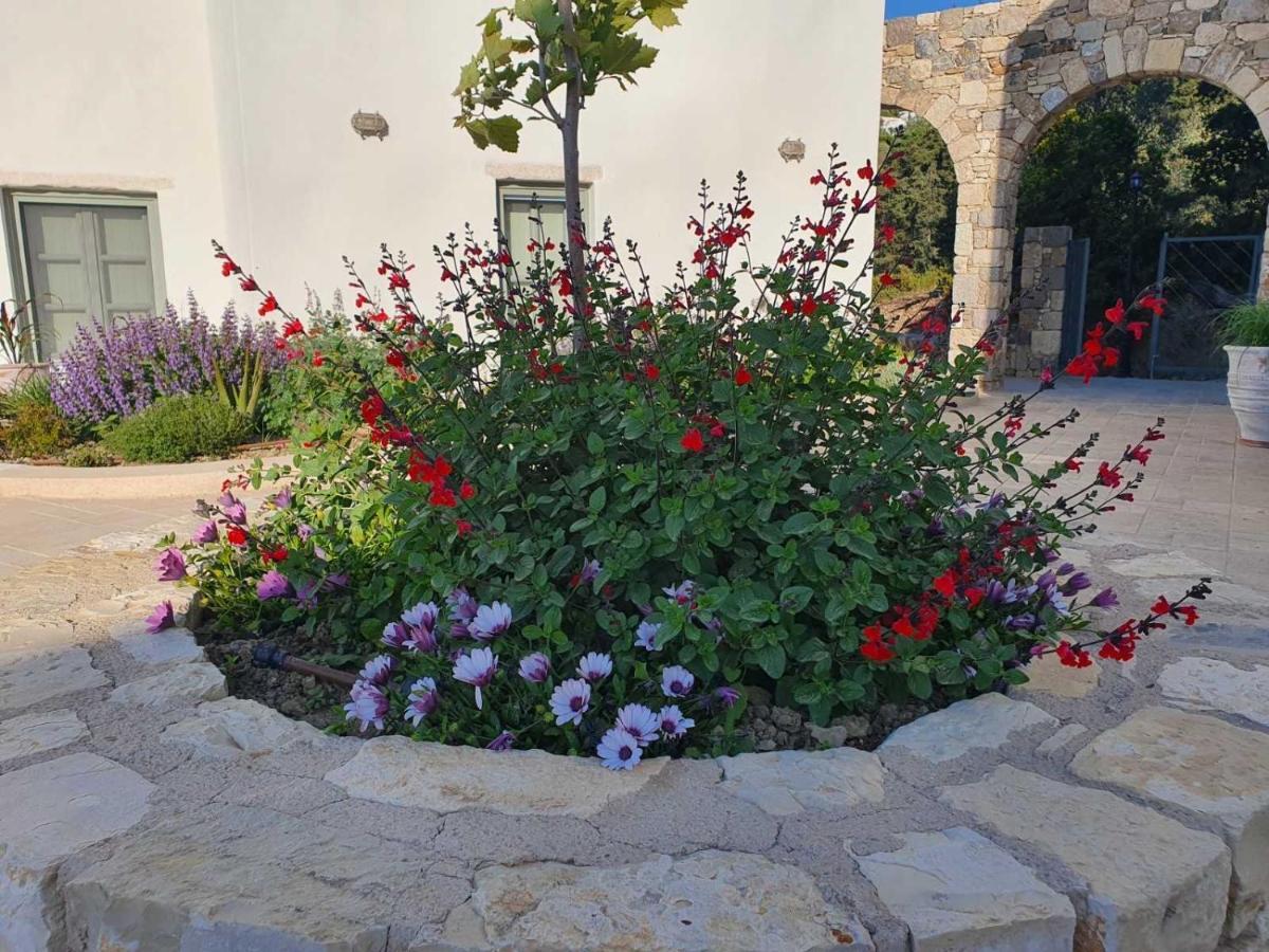 Anamnezia Luxury Suites (Adults Only) Agios Dimitrios  Екстер'єр фото